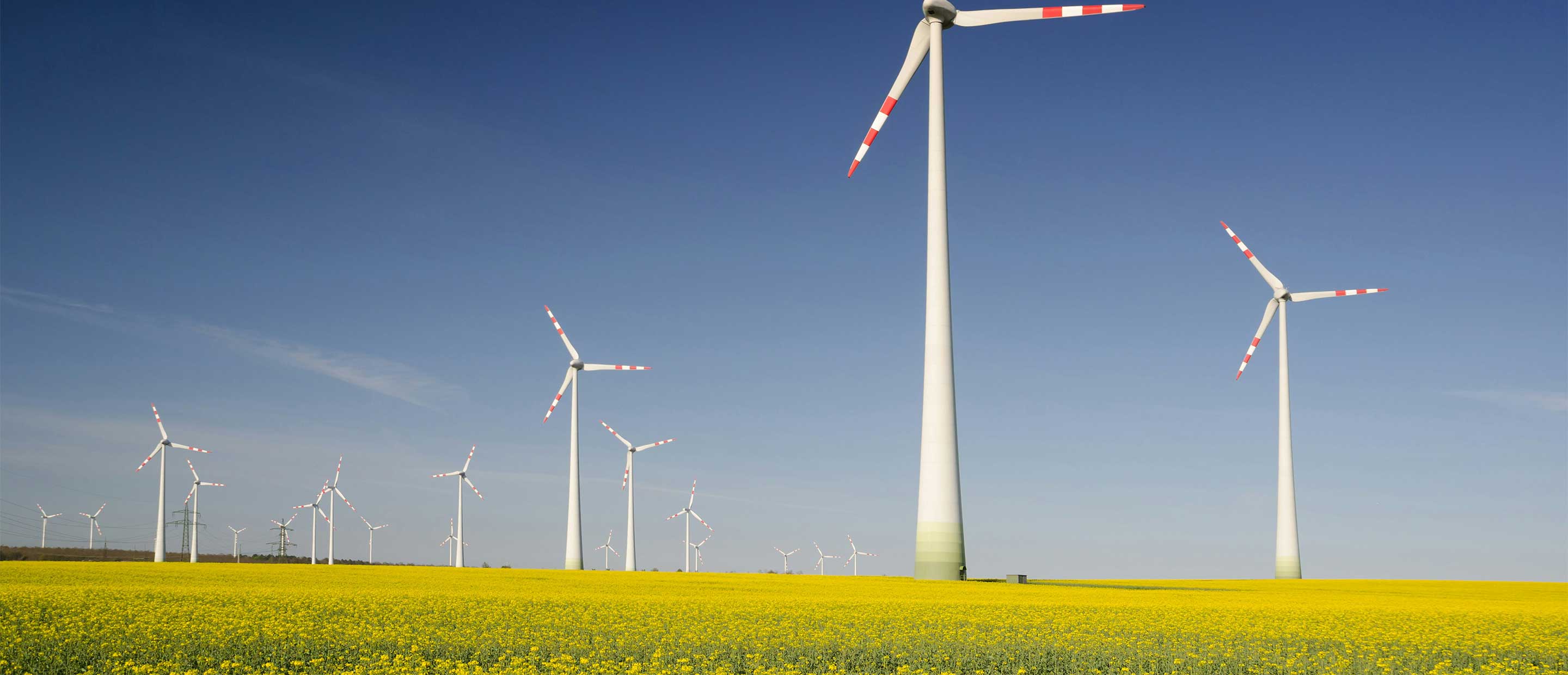 Wind turbines | Sustainable transformation