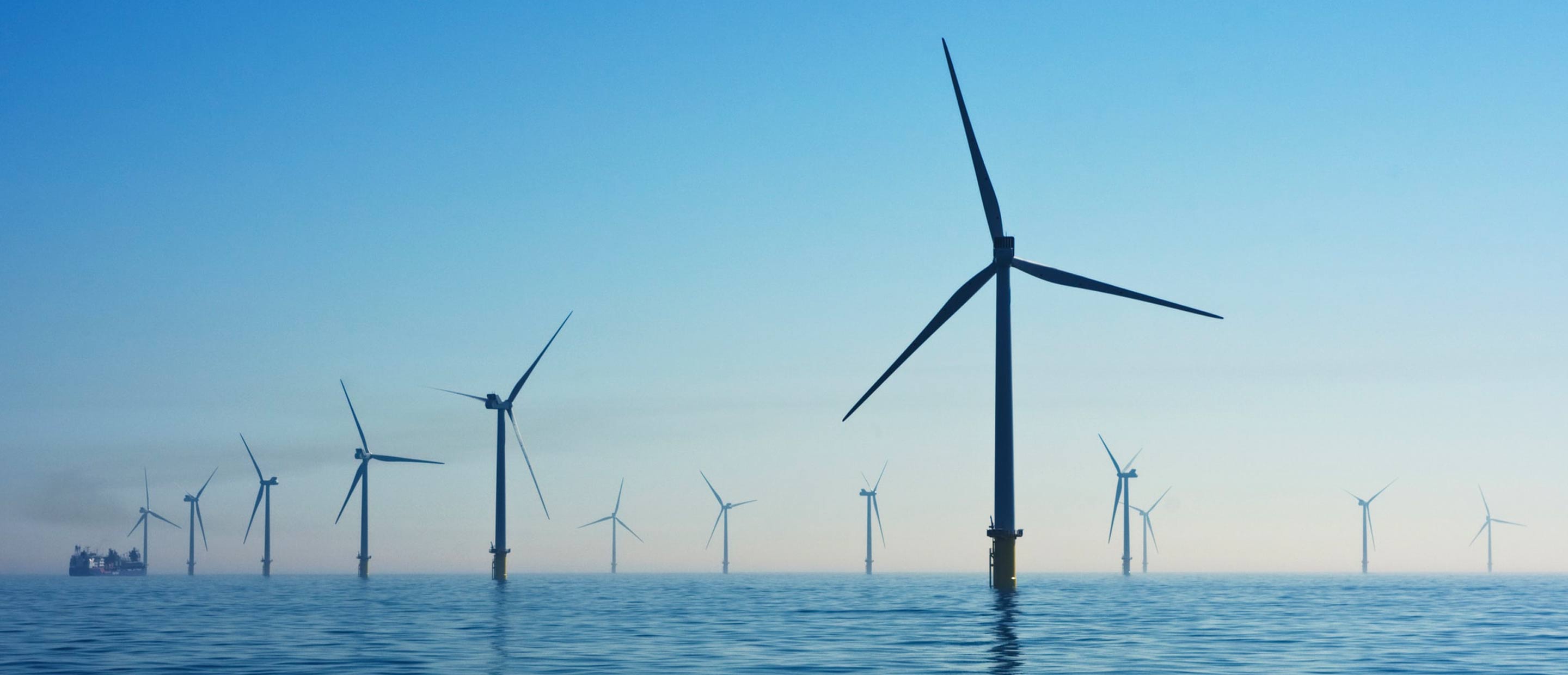 ESG and Impact Investing | ESG Principles and Standards