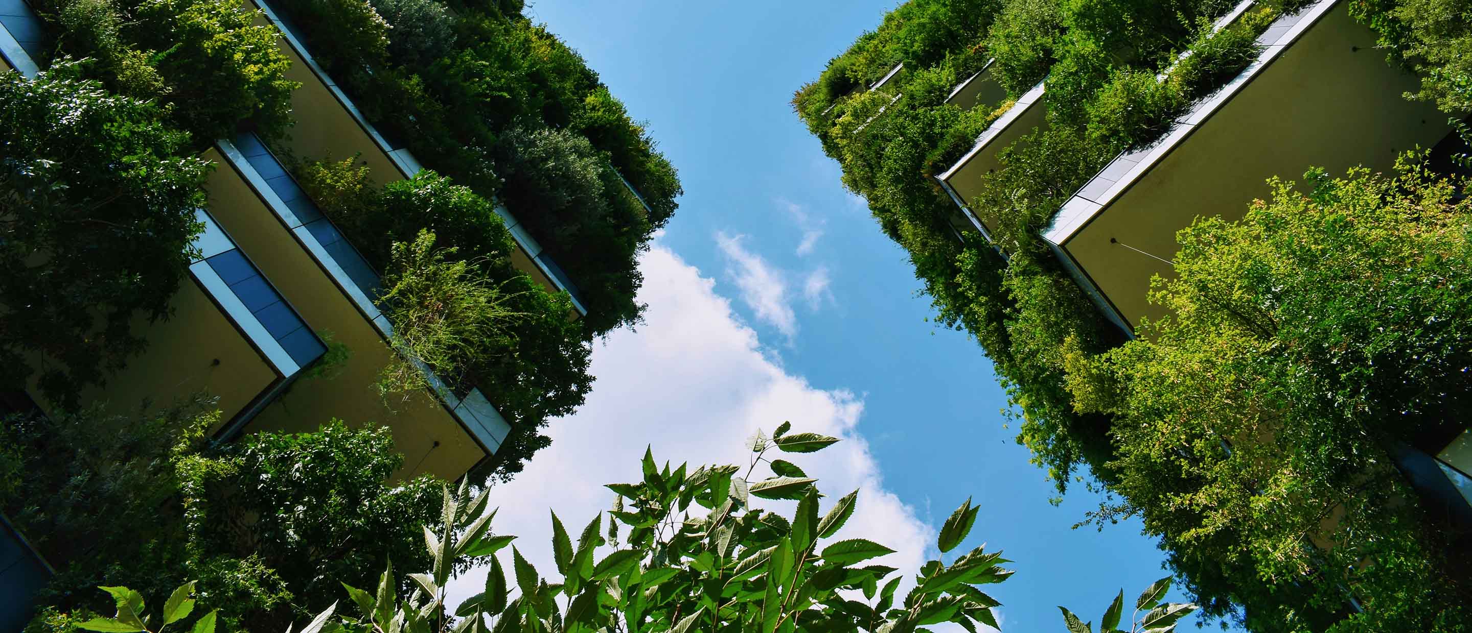 Low angle of building with plants
