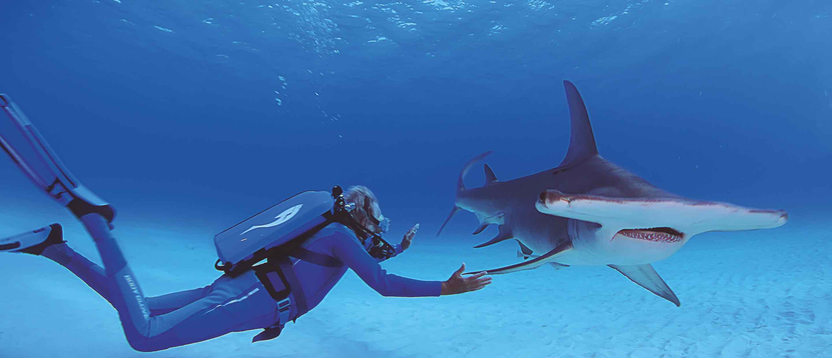 Jean‑Michel Cousteau underwater with a hammerhead shark in the Caribbean