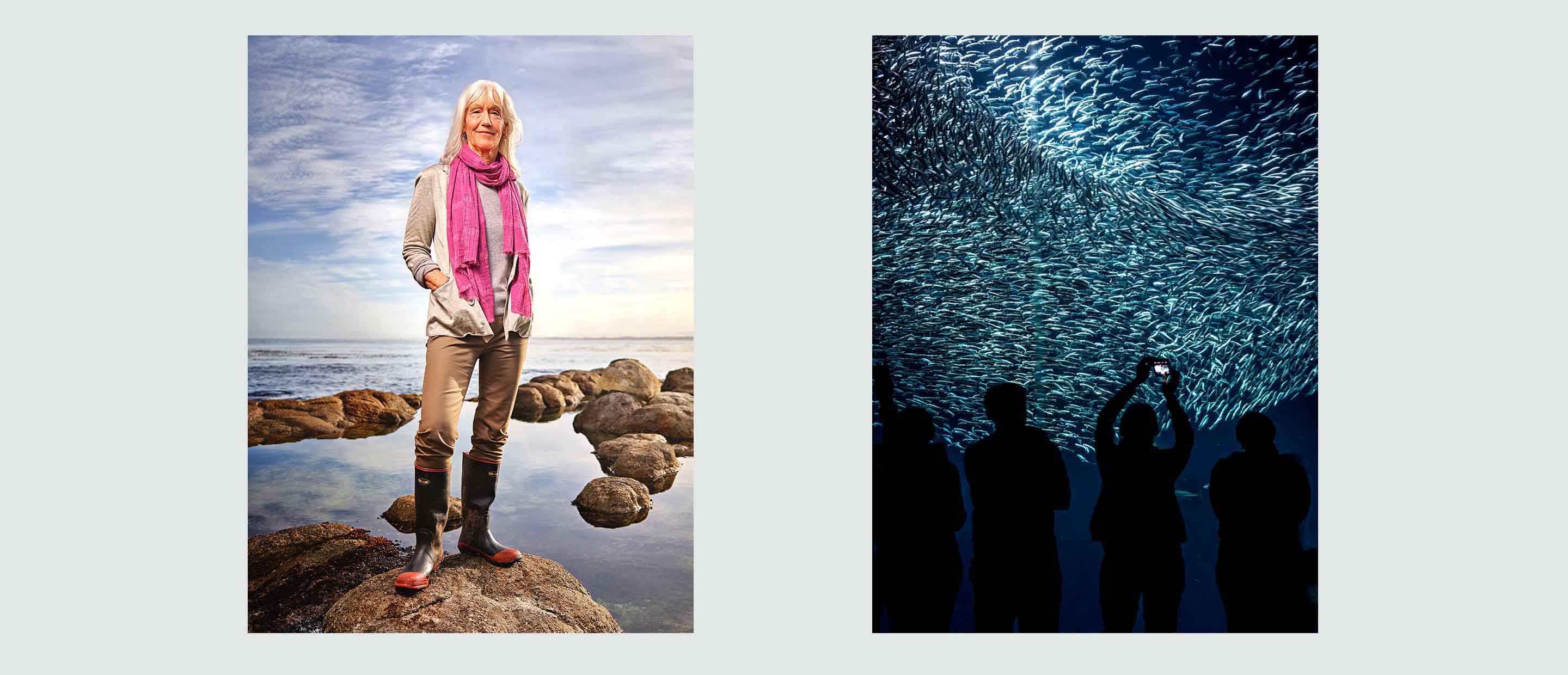 Besucher im Monterey Bay Aquarium vor großen Unterwasserbecken mit marinem Leben, im Kontext von Ozeanschutz und Blue‑Economy‑Initiativen