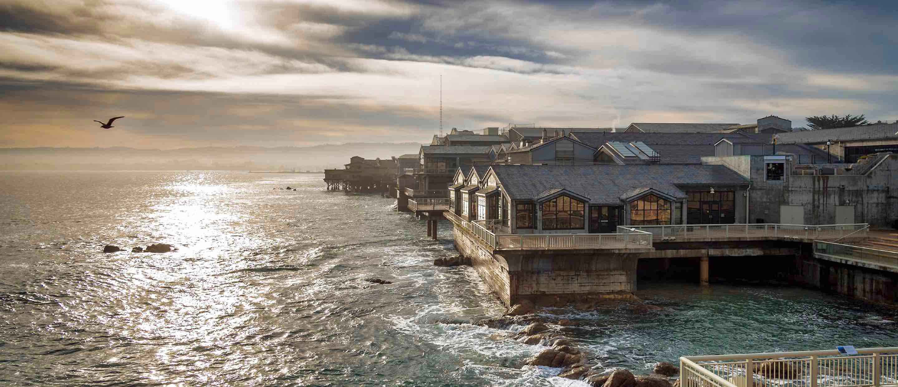 Monterey Bay Aquarium mit Meeresleben