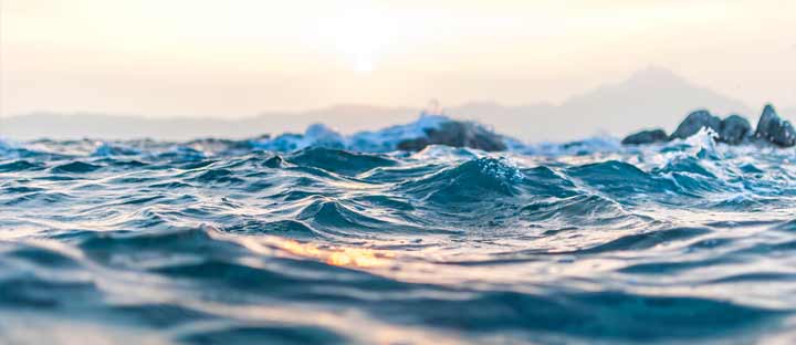 Blue economy insights