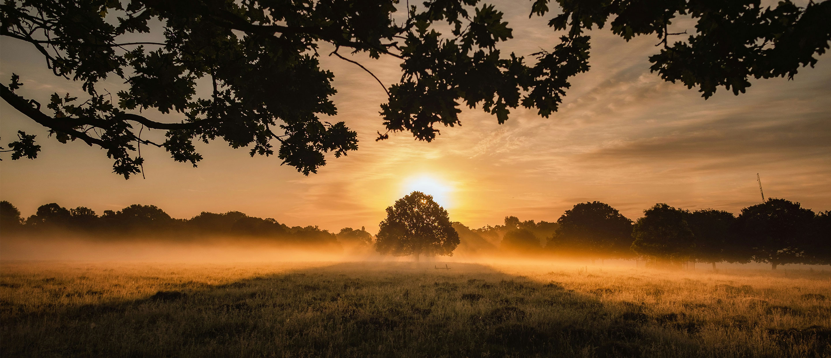 building resilience desktop